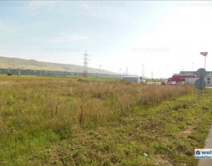 , 8000m2 dans Floresti