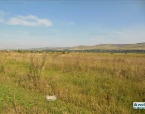 Terrain à vendre dans Floresti