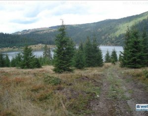 , 30000m2 dans Belis
