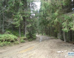 Terrain à vendre dans Belis