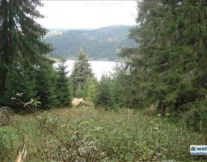 Terrain à vendre dans Belis