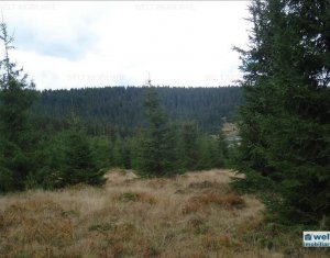 Terrain à vendre dans Belis
