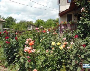 Maison 7 chambres à vendre dans Cluj-napoca, zone Dambul Rotund