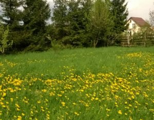 Terrain à vendre dans Feleacu
