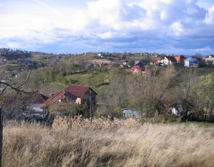 Terrain à vendre dans Feleacu