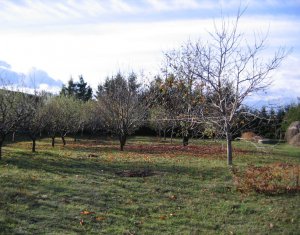 Terrain à vendre dans Feleacu