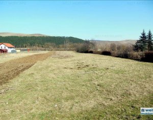 , 4200m2 on Gilau