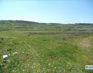 Telek eladó on Floresti
