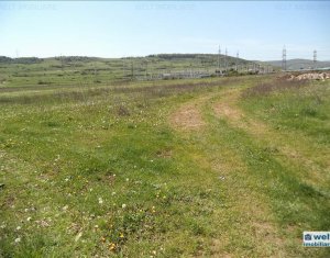 Telek eladó on Floresti
