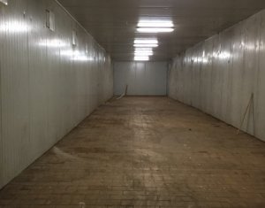 Ipari helyiség kiadó on Cluj-napoca, Zóna Baciu