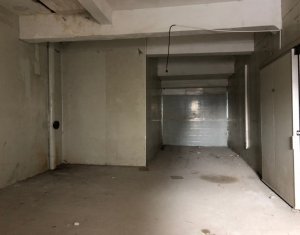 Ipari helyiség kiadó on Cluj-napoca, Zóna Baciu