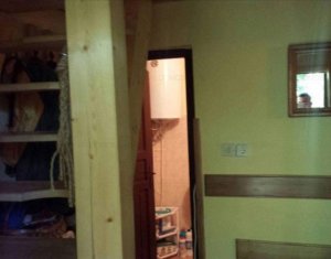 Maison 3 chambres à vendre dans Baisoara