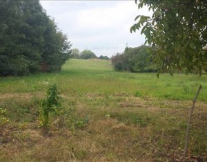 , 10100m2 dans Cluj-napoca, zone Zorilor