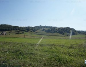 Telek eladó on Floresti
