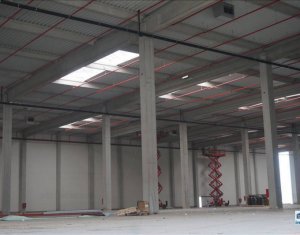 Espace Industriel à louer dans Jucu