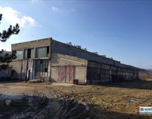 Espace Industriel à louer, 2000m2 dans Cluj-napoca, zone Baciu