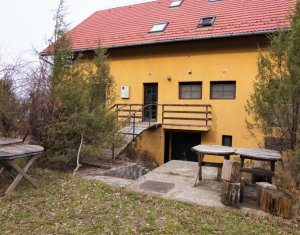 Ház 12 szobák eladó on Gilau