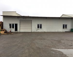 Espace Industriel à vendre dans Cluj-napoca, zone Someseni