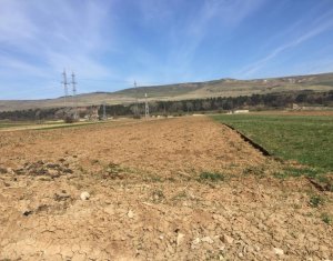 , 5800m2 dans Floresti