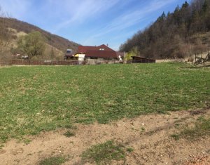 , 2500m2 dans Tauti