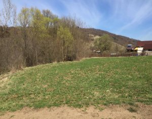 , 1200m2 dans Tauti