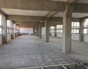 Bureau à louer dans Cluj-napoca, zone Marasti