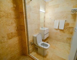 Appartement 1 chambres à louer dans Cluj-napoca, zone Intre Lacuri