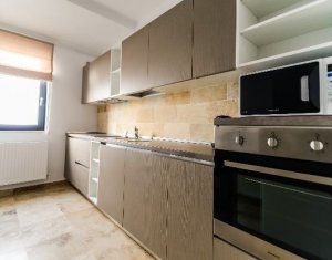 Appartement 2 chambres à louer dans Cluj-napoca, zone Intre Lacuri
