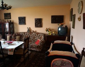 Maison 6 chambres à vendre dans Cluj-napoca, zone Gruia