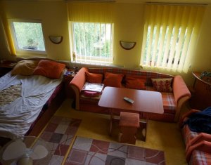 Maison 6 chambres à vendre dans Cluj-napoca, zone Gruia