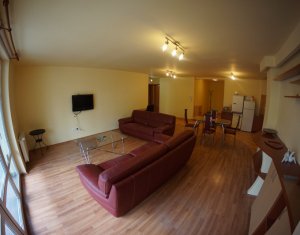 Appartement 3 chambres à louer dans Cluj-napoca, zone Andrei Muresanu