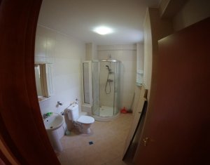 Appartement 3 chambres à louer dans Cluj-napoca, zone Andrei Muresanu