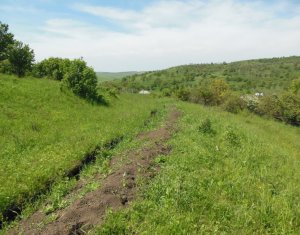 Terrain à vendre dans Cojocna, zone Centru