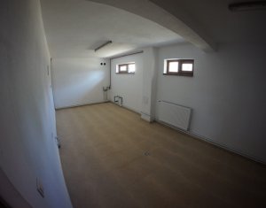 Maison 6 chambres à vendre dans Cluj-napoca, zone Iris