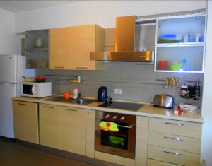 Appartement 2 chambres à louer dans Cluj-napoca, zone Plopilor