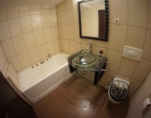 Appartement 2 chambres à louer dans Cluj-napoca, zone Plopilor