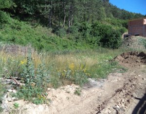 , 2200m2 on Floresti