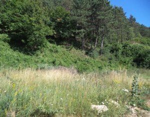 Telek eladó on Floresti