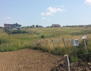 Terrain à vendre dans Cluj-napoca, zone Borhanci