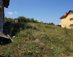 Terrain à vendre dans Floresti