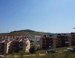 Terrain à vendre dans Floresti