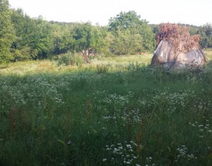 Terrain à vendre dans Cluj-napoca, zone Faget