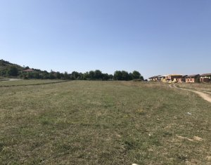 Terrain à vendre dans Floresti