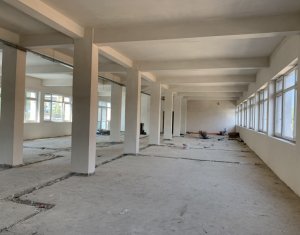 Iroda kiadó on Cluj-napoca, Zóna Grigorescu