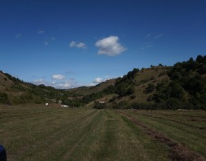, 1870m2 dans Tauti