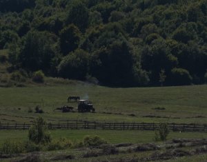 Terrain à vendre dans Tauti