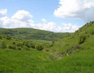 Terrain à vendre dans Tauti