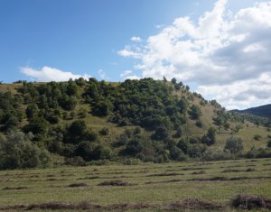 , 1962m2 dans Tauti