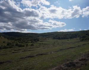 Terrain à vendre dans Tauti