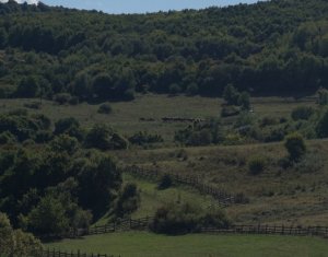 Terrain à vendre dans Tauti